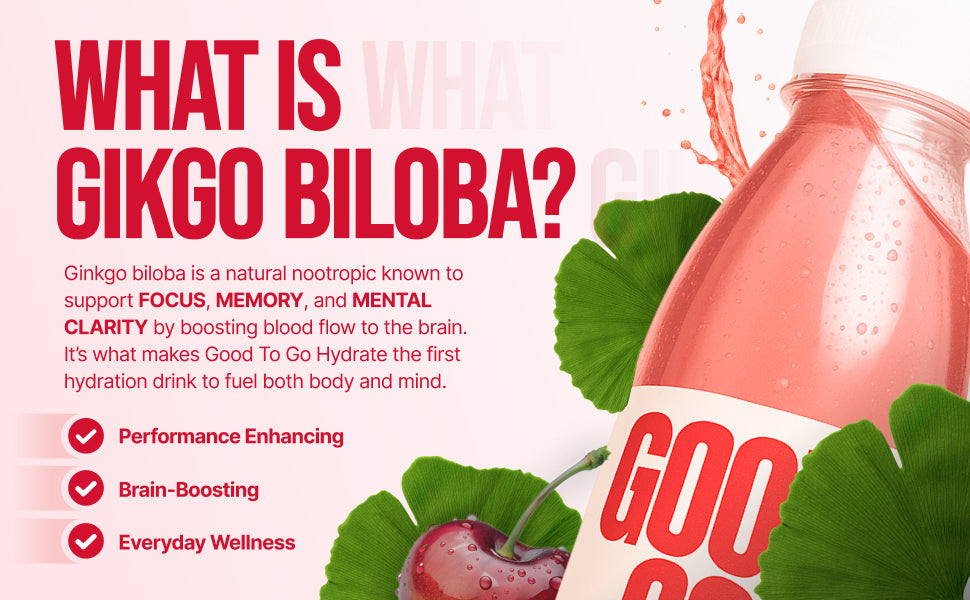 What is Ginkgo Biloba? The Nootropic Powerhouse Inside Good To Go